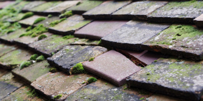 Wisbech roof repair costs